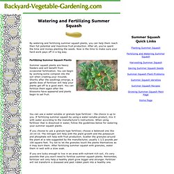 Watering and Fertilizing Summer Squash