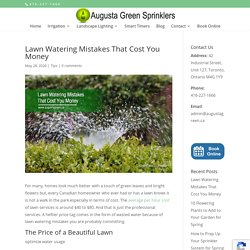 Lawn Watering Mistakes That Cost You Money
