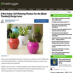 8 Best Indoor Self-Watering Planters For the (Black-Thumbed) Design Lover