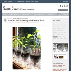 How To: Self-Watering Seed Starter Pots