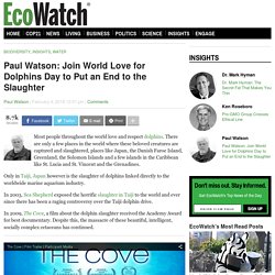 Paul Watson: Join World Love for Dolphins Day to Put an End to the Slaughter