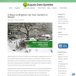 6 Ways to Brighten Up Your Garden in Winter