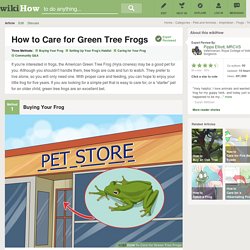 3 Ways to Care for Green Tree Frogs