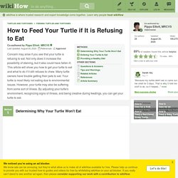 3 Ways to Feed Your Turtle if It is Refusing to Eat