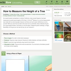 How to Measure the Height of a Tree