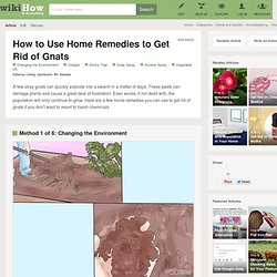 6 Ways to Use Home Remedies to Get Rid of Gnats