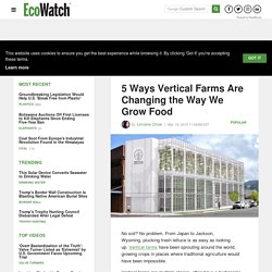 5 Ways Vertical Farms Are Changing the Way We Grow Food