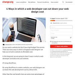 4 Ways in which a web developer can cut down your web design cost