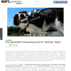 Can Wearable Computing lead to “talking” dogs? - Softbinator