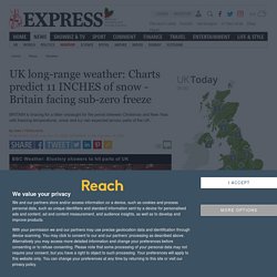 UK long-range weather: Charts predict 11 INCHES of snow - Britain facing sub-zero freeze