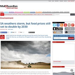 SA weathers storm, but food prices still set to double by 2030