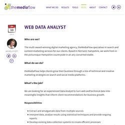 Web Data Analyst by theMediaFlow