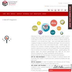 Web API Integration Company in India