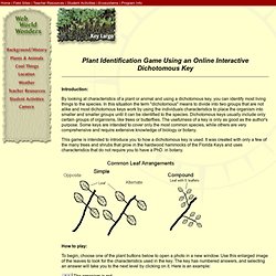 dichotomous key classification