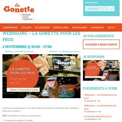 Webinaire - La Gonette pour les pros - La Gonette