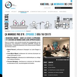 Épisode 2 — La WebRadio de l'Institut Français de l'Éducation