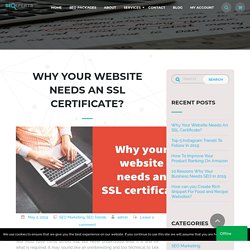 Why Your Website Needs An SSL Certificate? - SEO Xperts