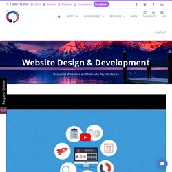 Website Design & Development