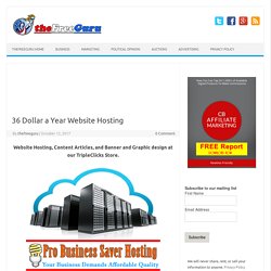 Website Hosting Made Affordable from PBSaver Hosting