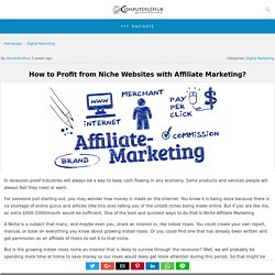 How to Profit from Niche Websites with Affiliate Marketing?