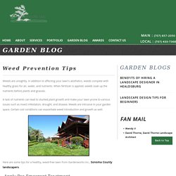 Weed Prevention Tips