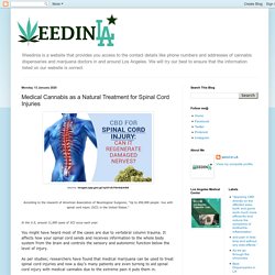 Weedinla.com: Medical Cannabis as a Natural Treatment for Spinal Cord Injuries