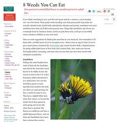 8 Weeds You Can Eat