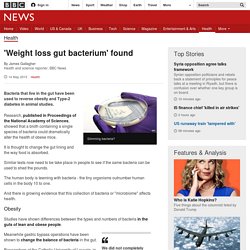 'Weight loss gut bacterium' found