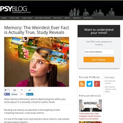 Memory: The Weirdest Ever Fact is Actually True, Study Reveals