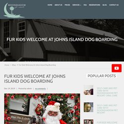 Fur Kids Welcome at Johns Island Dog Boarding