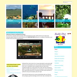 Welcome to the Buddy Dive Resort website