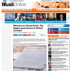 Welcome to Thanet Earth: The biggest greenhouse in Britain unveiled