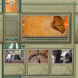 Welcome to the Ultimate Tree-Ring Web Pages!