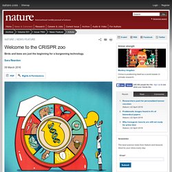 NATURE 09/03/16 Welcome to the CRISPR zoo - Birds and bees are just the beginning for a burgeoning technology.