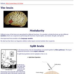 Broca's and Wernicke's Aphasia (Mary Louise Kean, UC Irvine: Psych 9A)