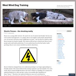 Thoughts, Tips, Training and Musings from West Wind Dog Training