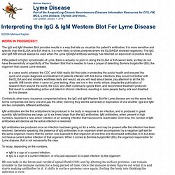 Western Blot for Lyme Disease