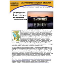Wetland Ecosystem Education Home Page