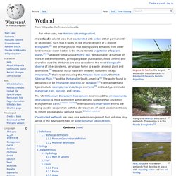 Wetland