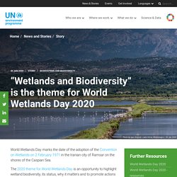 “Wetlands and Biodiversity” thème de la journée mondiale des zones humides 2020
