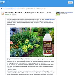 Soil Wetting Agent Role to Reduce Hydrophobic Nature — Guide