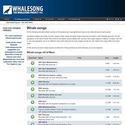 Whale songs