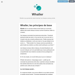 Whaller — Whaller, les principes de base