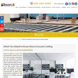 What You Need to Know About Acoustic Ceiling