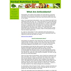 What Are Antioxidants?