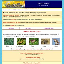 What are Food Chains and Food Webs