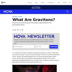 What Are Gravitons?
