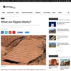 What are Ripple Marks?