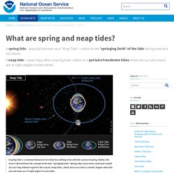 What are spring and neap tides?
