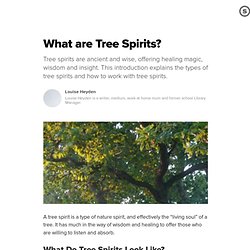 What are Tree Spirits?